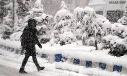 Meteoroloji uyardı! Yeni haftada kar ve fırtına geliyor