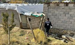 İpekyolu’nda ahır denetimleri sürüyor