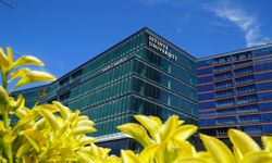 İstinye Üniversitesi 3 Akademik Personel Alacak! Son Başvuru 13 Kasım