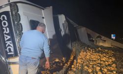 Köpeğe Çarpmamak İçin Tırı Yatırdı