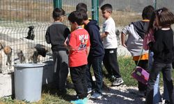 Minik öğrenciler, Hayvan Bakım ve Rehabilitasyon Merkezi’ni ziyaret etti