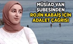 MÜSİAD Van Şubesinden Rojin Kabaiş için adalet çağrısı