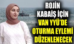 Rojin Kabaiş için Van YYÜ’de oturma eylemi düzenlenecek
