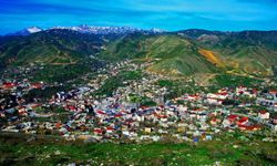 Tarım ve Orman Bakanlığı Bitlis ve İlçelerinde Personel Alacak