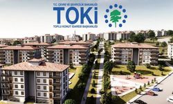 81 ildeki projeye yoğun ilgi: 3 milyona yakın başvuru