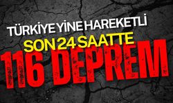 Türkiye Yine Hareketli: Son 24 Saatte 116 Deprem Kaydedildi!