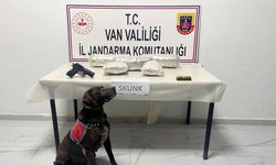 Van Başkale’de skunk, tabanca ve cephane ele geçirildi