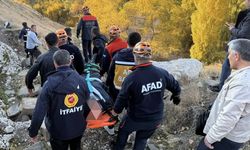 Van Kalesi’nde mahsur kalan vatandaş kurtarıldı