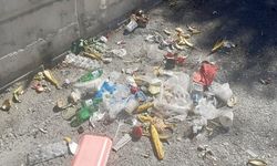Van Kalesi’nde utandıran kirlilik! Tarihi alan çöp içinde