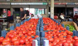 Van Sebze Hali Fiyatları açıklandı? İşte son fiyatlar...
