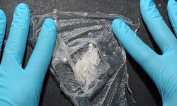 Van’da 35 kilo metamfetamin ele geçirildi