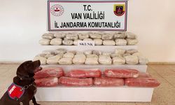 Van'da 61,9 kilogram skunk ele geçirildi
