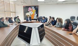 Van’da acil endoskopi süreçlerine yönelik istişare toplantısı düzenlendi
