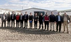 Van’da büyükbaş hayvancılık için kritik inceleme