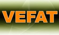 Van’da dün kaç kişi vefat etti?