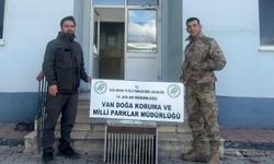 Van’da kafes avcılığı yapan kişiye 30 bin TL ceza!