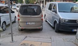 Van’da kuralsız parklar şehirde hayatı zorlaştırıyor