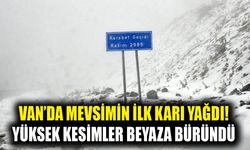 Van’da mevsimin ilk karı yağdı! Yüksek kesimler beyaza büründü
