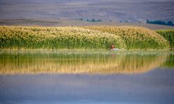 Van’da o noktada balık avı, ateş ve mangal yakmak yasaklandı
