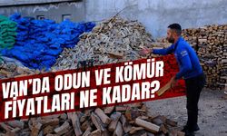 Van’da odun ve kömür fiyatları ne kadar?