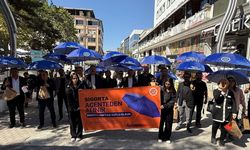 Van'da sigorta haftası yürüyüşü düzenlendi