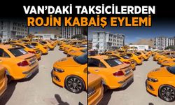 Van’daki taksicilerden Rojin Kabaiş eylemi