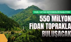 Yeşil Vatan Seferberliği başlıyor: 550 milyon fidan toprakla buluşacak