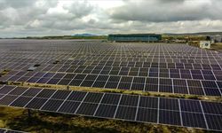 Ağrı-Patnos enerji hattı için acele kamulaştırma kararı