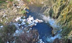 Akköprü Deresi çöplerle boğuşuyor