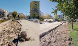 Akköprü Deresi Parkı’nda ağaçlar kesildi, mahalle sakinleri endişeli