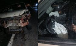 Araç sürüsüne daldı Onlarca Koyun telef oldu