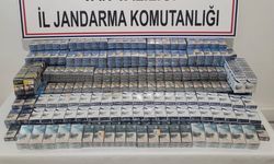 Başkale’de 2 sigara kaçakçısı yakalandı!