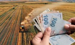 Çiftçiye Müjde: Hayvancılık Destek Tebliği Yenilendi