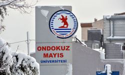 Ondokuz Mayıs Üniversitesi diş ve çene cerrahisi doktor arıyor