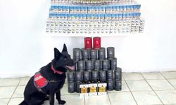 Erciş’te kaçak sigara ve çay ele geçirildi