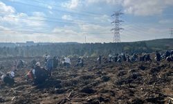 Gazze için 10 bin fidan dikildi