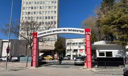 Hacı Bayram Veli Üniversitesi Çin Dili ve Edebiyatı için öğretim görevlisi aranıyor