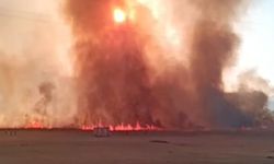 Hakkari’de büyük yangın! Yerleşim yerlerine doğru ilerliyor