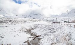 Hakkari’de hava nasıl olacak? Kar yağışı olacak!