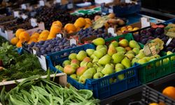 Van'da 14 Kasım Hal Fiyatları: Meyve ve Sebze Fiyatları Ne Kadar? İşte Güncel Fiyat Listesi…