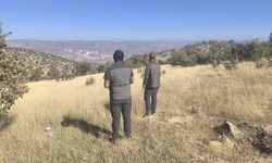 Doğa Koruma ve Milli Parklar ekiplerinden yoğun denetim