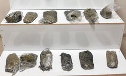 Erciş’te narkotik operasyonu! 4 kilo 400 gram esrar ele geçirildi