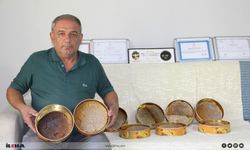 Kaliteli balın sırrı ne? Dünya birincisinden kritik açıklama