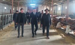 Kırsal kalkınma destekleri Van’da hayvancılık işletmelerini büyütüyor