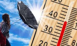 Meteoroloji duyurdu: Muş’ta hava nasıl olacak?