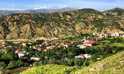 Mutki Belediyesi'ne Şoför Alınacak: Son Başvuru 16 Kasım