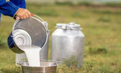 Resmi Gazete’de yayımlandı: Çiğ inek sütünde kalite kriterleri değişti