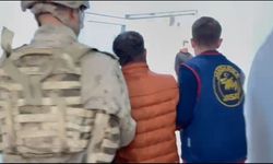 Van'da cinayet zanlısı koyun sürüsü içerisinde saklanırken yakalandı