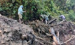 Sel felaketinde 20'den fazla kişi kayıp