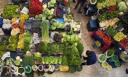 Van Hal fiyatları açıklandı mı? İşte 03 Kasım 2025 fiyat listesi